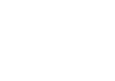 Logo El Hierro FI (ai)