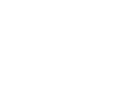 Logo El Hierro SV (ai)