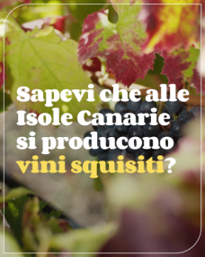 Vinos - Producto Canario (30sec) -it