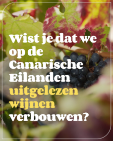 Vinos - Producto Canario (30sec) -nl