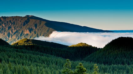 Naturaleza en estado puro -ru