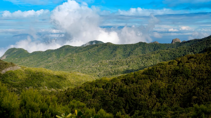 Vídeo integración rutas turísticas de La Gomera
