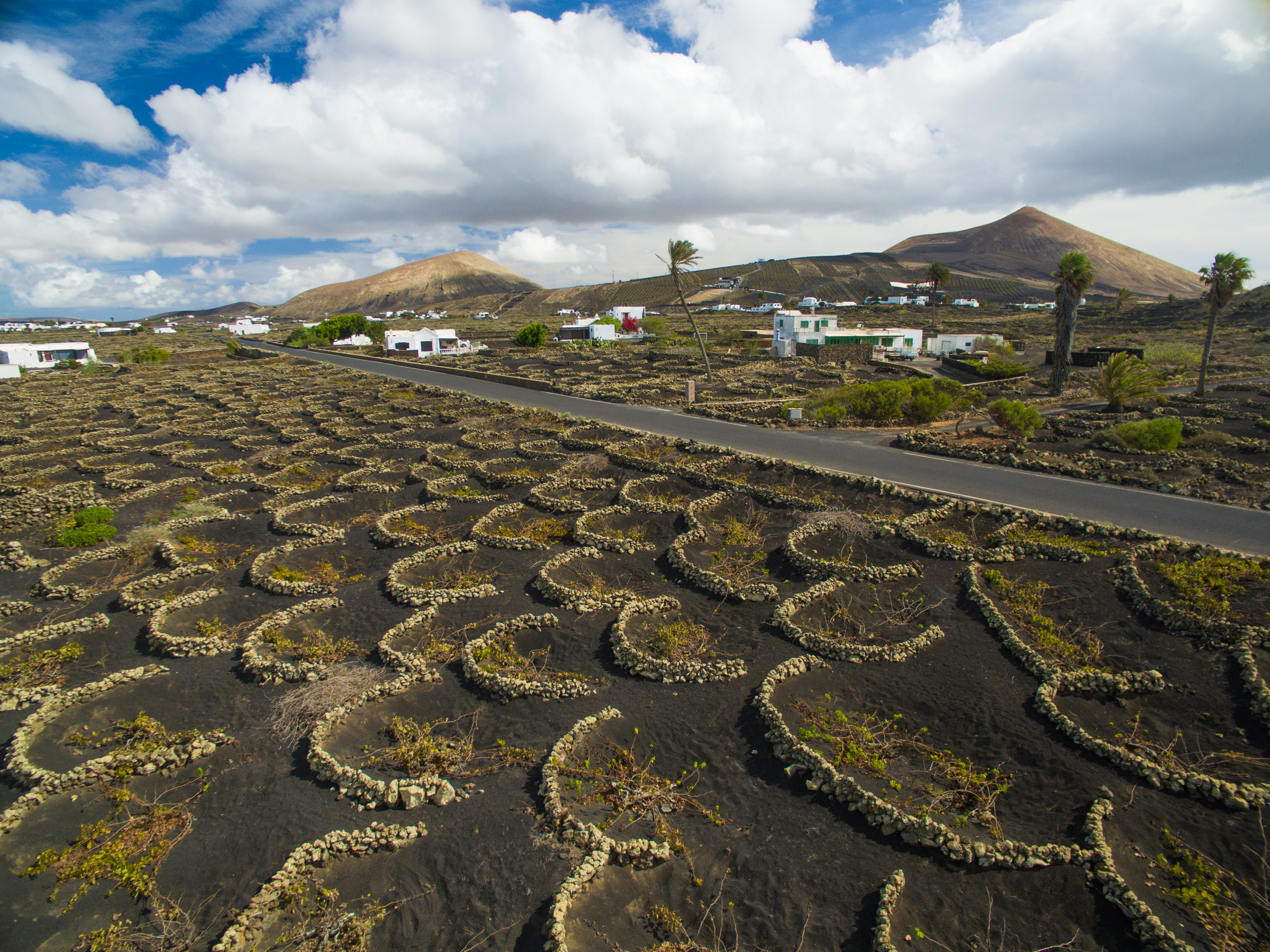 Bodegas Martinón - Lanzarote