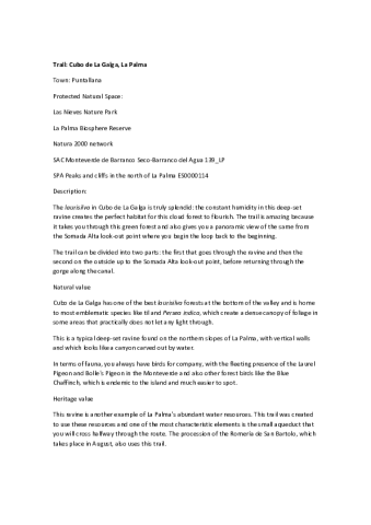 Trail: Cubo de La Galga