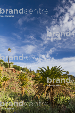 Barranco Las Tirajanas, Sorrueda