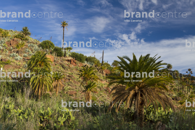 Barranco Las Tirajanas, Sorrueda Barranco Las Tirajanas, Sorrueda