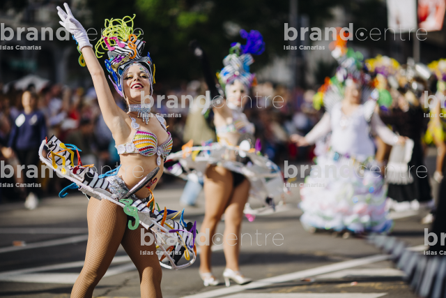 Carnaval de Santa Cruz de Tenerife