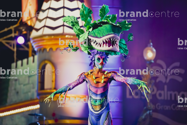 Carnival of Las Palmas de Gran Canaria