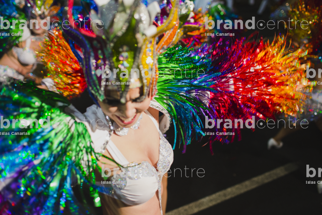 Carnaval de Santa Cruz de Tenerife Carnaval de Santa Cruz de Tenerife