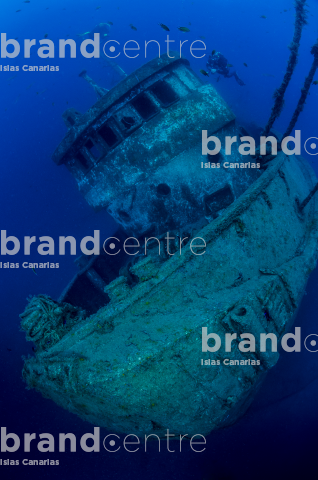 Fondo Submarino. Tabaiba,