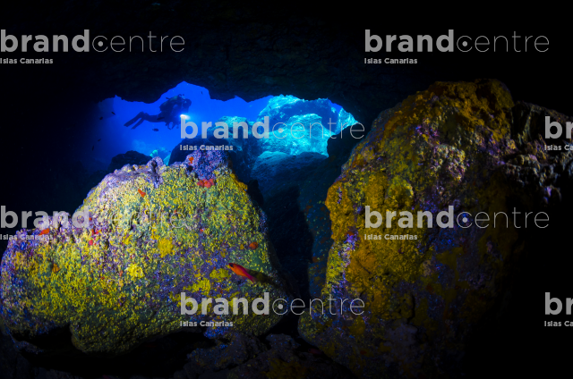 Fondo Submarino. Playa Chica,