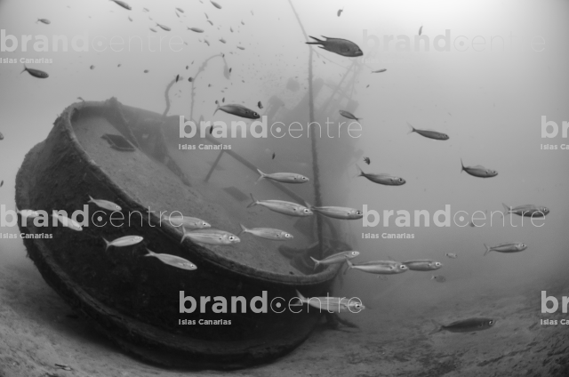 Fondo Submarino. Tabaiba,