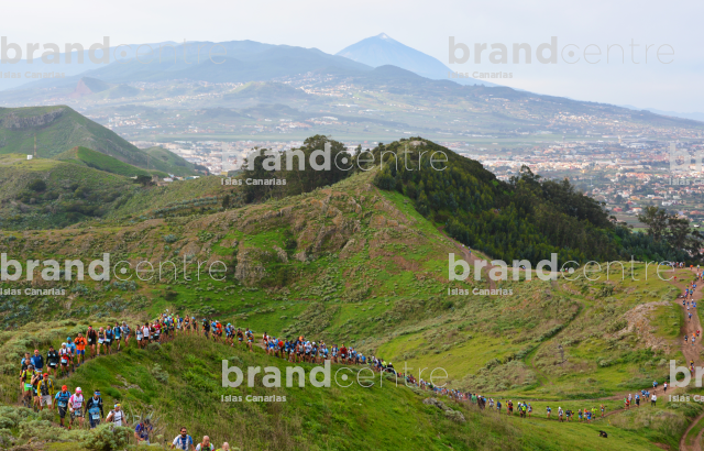 Tenerife International Marathon K42
