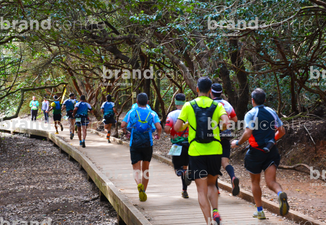 Tenerife International Marathon K42