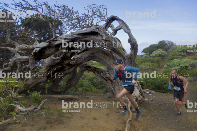 Maratón del Meridiano