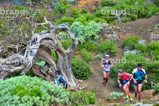 Maratón del Meridiano Maratón del Meridiano