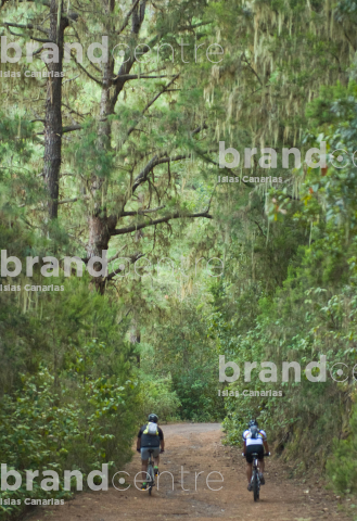 Paseo en bicicleta
