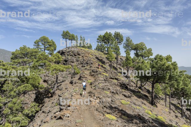 Reventón trail El Paso 2017