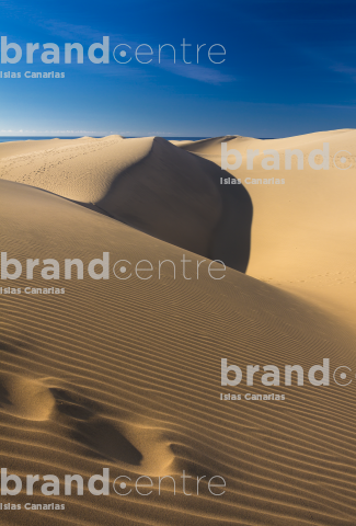 Reserva Natural Especial de las Dunas de Maspalomas