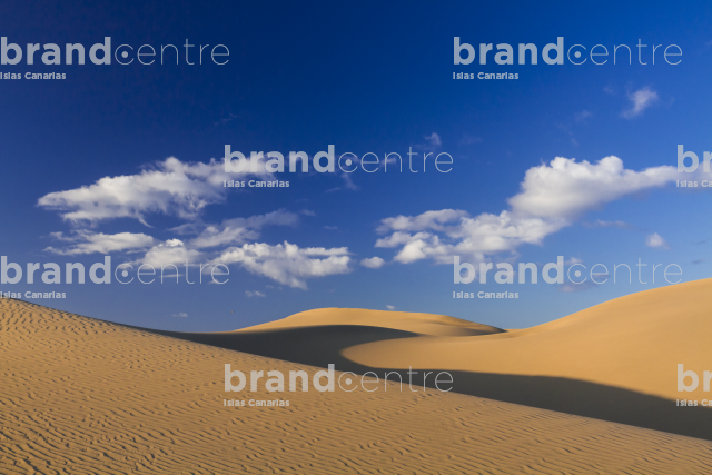 Maspalomas Dunes Special Natural Reserve