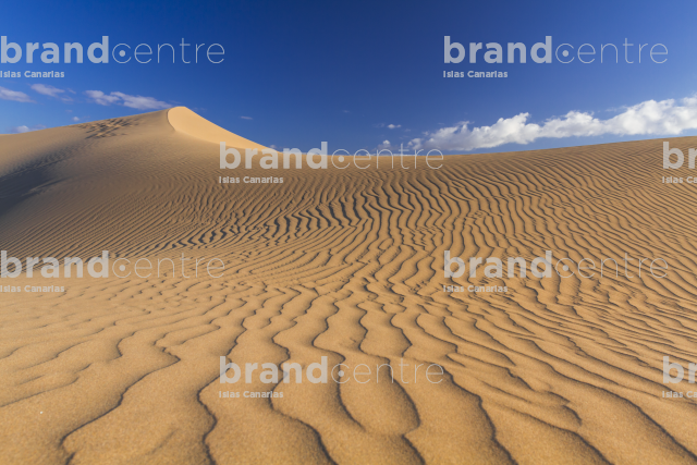 Reserva Natural Especial de las Dunas de Maspalomas