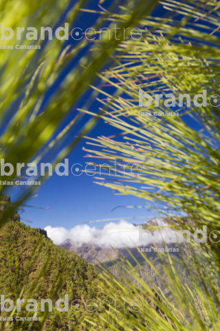 Parque Nacional de La Caldera de Taburiente