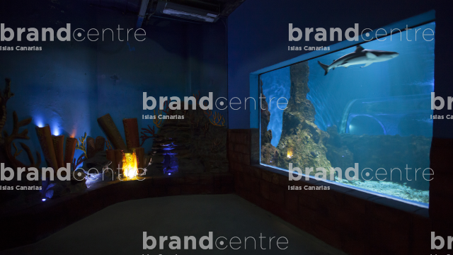 Lanzarote Aquarium