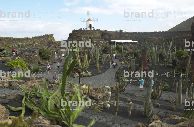 Jardín de Cactus Jardín de Cactus
