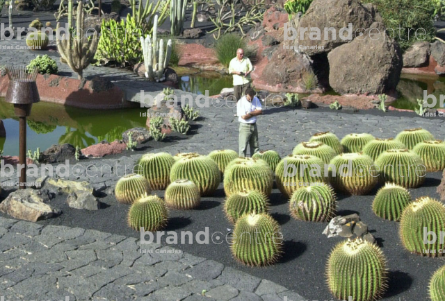 Jardín de Cactus Jardín de Cactus