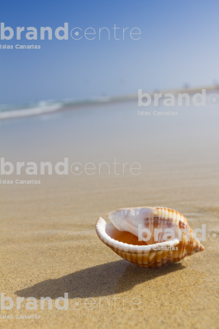 Playa La Barca. Parque Natural de Jandía	