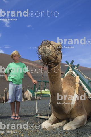 Timanfaya National Park