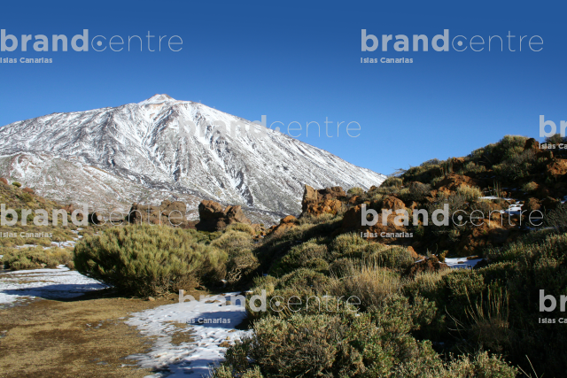 Parque Nacional del Teide Parque Nacional del Teide