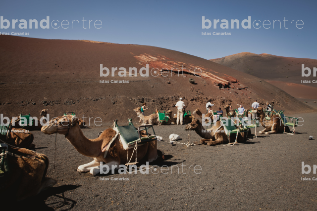 Parque Nacional de Timanfaya