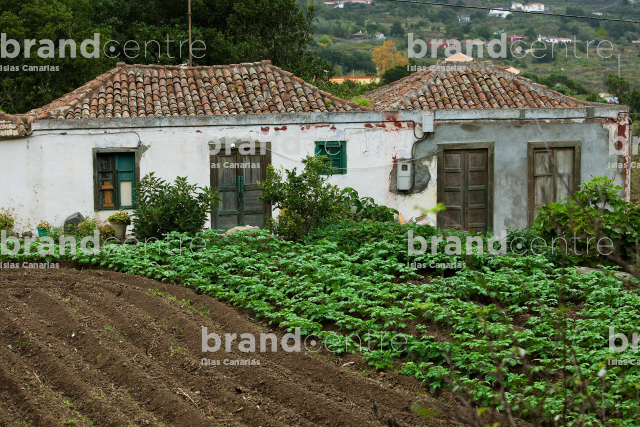 House with orchard