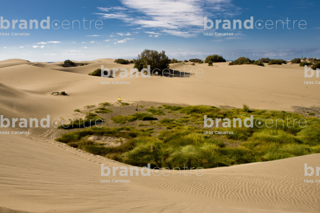 Dunas de Maspalomas Dunas de Maspalomas