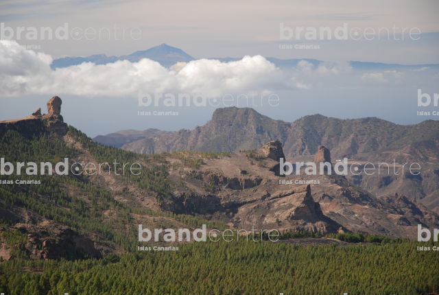 Nublo Rural Park
