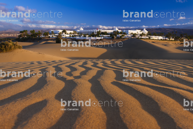 Special Natural Reserve of Las Dunas de Maspalomas Special Natural Reserve of Las Dunas de Maspalomas