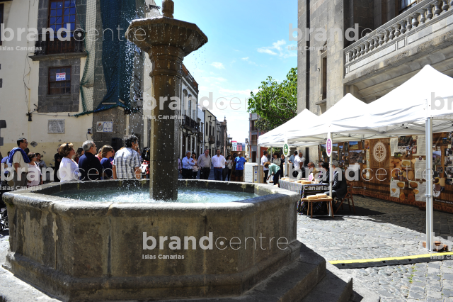 Plaza del Pilar New