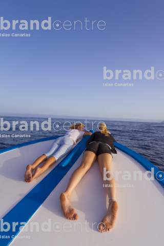 Avistamiento de cetáceos en la costa de La Gomera.