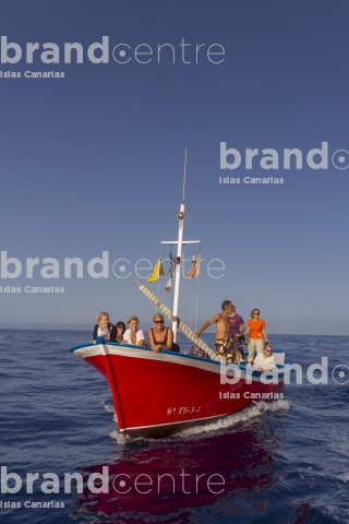 Whale watching on the coast of La Gomera. Whale watching on the coast of La Gomera.