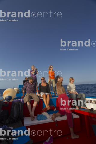 Whale watching on the coast of La Gomera.