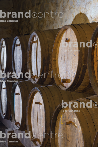 Bodegón Vandama