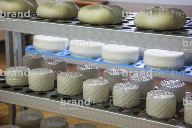 Cheese factory El Convento