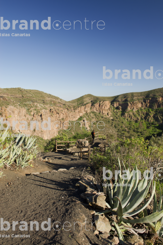 Caldera de Bandama