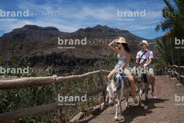 Donkey ride through Tejeda Donkey ride through Tejeda