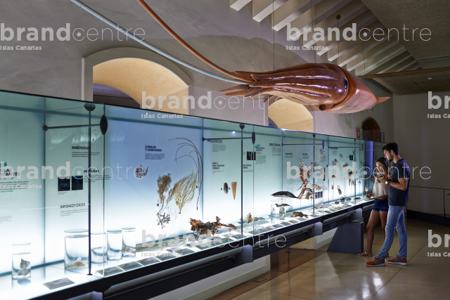 Museum of Nature and Man Museum of Nature and Man