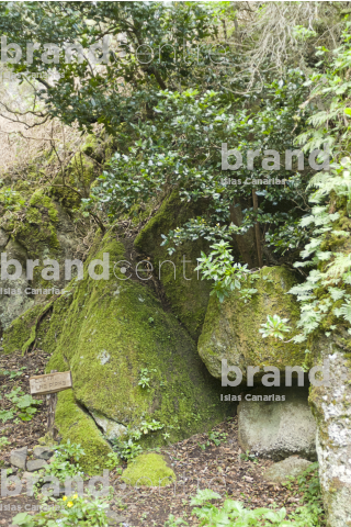 Sendero Camino de Jinama