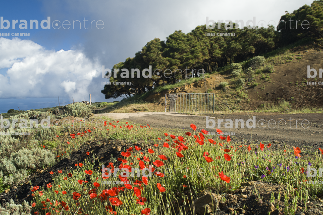Sendero El Cres