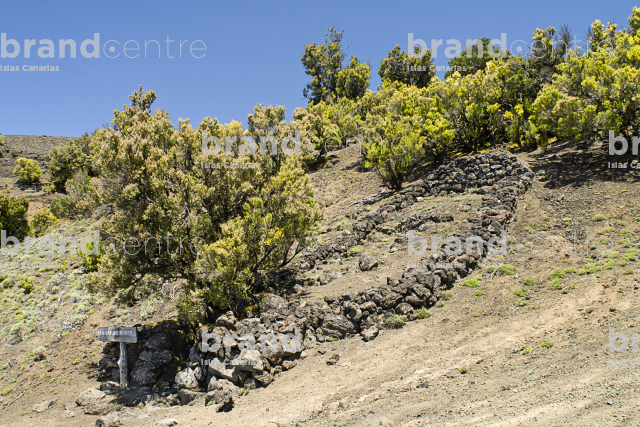 Sendero de la Virgen