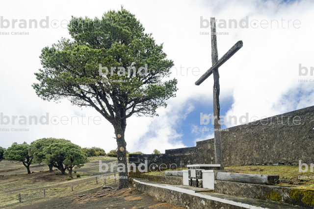 Path of the Virgin